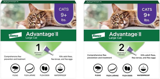 Advantage II Large Cat Vet-Recommended Flea Treatment & Prevention | Cats over 9 Lbs. | 3-Month Supply