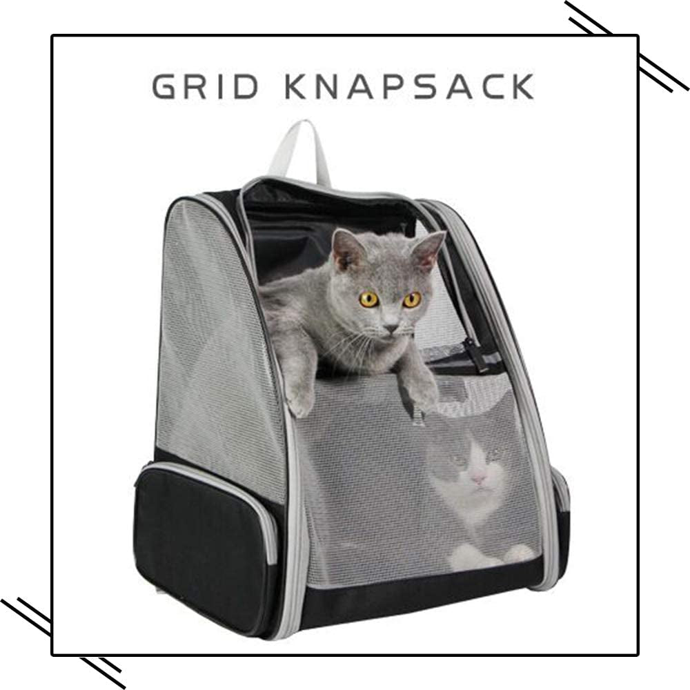 Texsens Pet Backpack Carrier for Small Cats Dogs | Ventilated Design, Safety Straps, Buckle Support, Collapsible | Designed for Travel, Hiking & Outdoor Use (Creamy White)